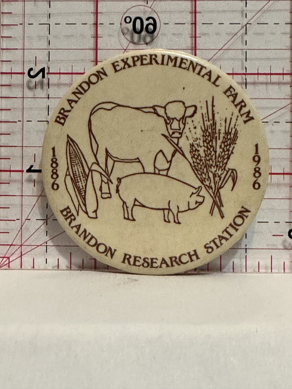 Brandon Experimental Farm 1886 1986 Research Station Button Pinback