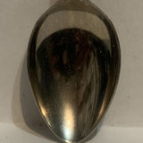 San Diego Zoo Wild Animal Park Collectable Souvenir Spoon ED