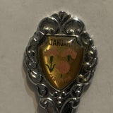 January Carnation Flower  Collectable Souvenir Spoon EE