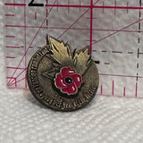 2005 Year of the Veteran Logo  Lapel Pin