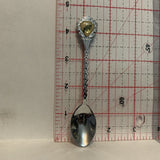 Radium Hot Springs British Columbia Wolf Collectable Souvenir Spoon BY
