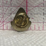 Salmon Arm British Columbia  Lapel Pin