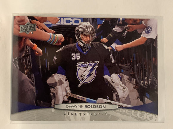 #29 Dwayne Roloson Tampa Bay Lightning 2011-12 Upper Deck Series One Hockey Card