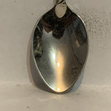 Hawaii Aloha State Crest Collectable Souvenir Spoon BZ