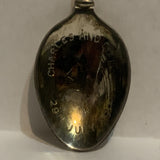 Charles Diana July 291981 Collectable Souvenir Spoon EG