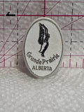 Grande Prairie Alberta Swan Logo  Lapel Pin