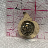 Kelowna Apple British Columbia  Lapel Pin
