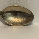 Drumheller Alberta Painted Flowers Collectable Souvenir Spoon BZ