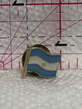Argentina Flag  Lapel Pin
