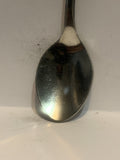 Phoenix Arizona Horse Souvenir Spoon