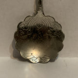 Painted Desert Arizona Native Warrior Collectable Souvenir Spoon EI