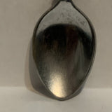 California Sun and Flowers Collectable Souvenir Spoon EI