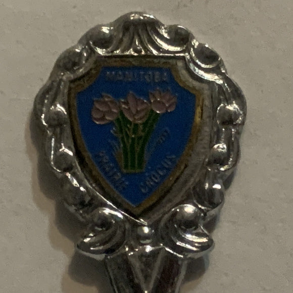 Steinbach Manitoba Prairie Crocus Flowers Collectable Souvenir Spoon EI