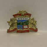 City of Red Deer Coat of Arms Alberta Lapel Hat Pin