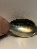 Quesnel British Columbia Canada Souvenir Spoon