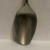 Flower Blossoms Collectable Souvenir Spoon EJ
