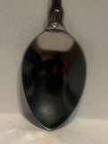 Washington Fish Souvenir Spoon
