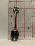 Washington Fish Souvenir Spoon