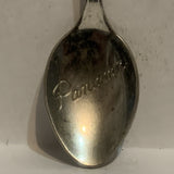 Panama Beach Flag Collectable Souvenir Spoon EK