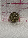 E Flag Logo  Lapel Pin