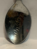 Castor Alberta Wild Rose Souvenir Spoon