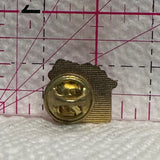 Wild Rose Foundation  Lapel Pin