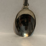 Alberta Fish & Game Association The Organized Sportsman Pheasent Collectable Souvenir Spoon CD