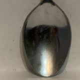Medicine Hat Alberta Crest Collectable Souvenir Spoon EM