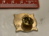 CSEG Logo Lapel Hat Pin
