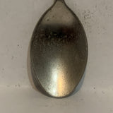 Costa Rica Flag Crest Collectable Souvenir Spoon EN