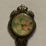 Ontario Trillium Flowers Collectable Souvenir Spoon EN