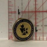 Student Assesment a Continuous Process Lapel Hat Pin