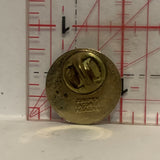 Student Assesment a Continuous Process Lapel Hat Pin