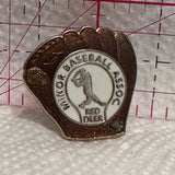 Minor Baseball Association Red Deer Glove  Lapel Pin