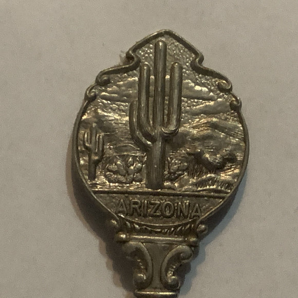 Arizona Cactus Collectable Souvenir Spoon EO
