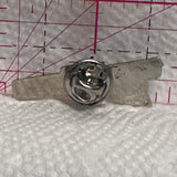 Swyrich Logo  Lapel Pin