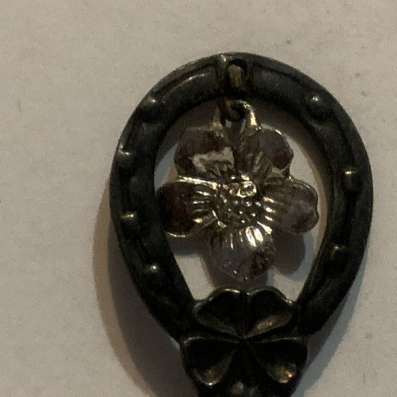 Radium British Columbia Dogwood Flower Collectable Souvenir Spoon ER