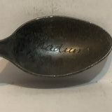 Radium British Columbia Dogwood Flower Collectable Souvenir Spoon ER