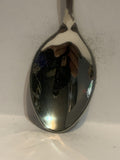 Arizona Cactus   Souvenir Spoon
