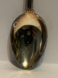 Nadi Fiji Souvenir Spoon