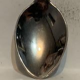 Illinois State Collectable Souvenir Spoon CH