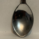 Aruba Divi Divi Sand Dollar Collectable Souvenir Spoon ES