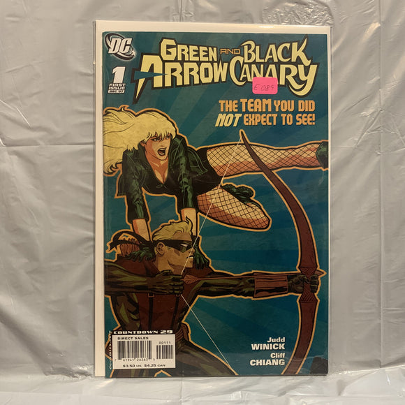#1 Green Arrow and Black Canary The Team You Did Not expect to See DC Comics AJ 7261