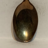 Arizona Cactus Desert   Collectable Souvenir Spoon CH