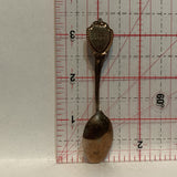 Arizona Cactus Desert   Collectable Souvenir Spoon CH