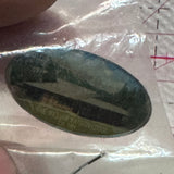 William Watson Lodge Alberta  Lapel Pin