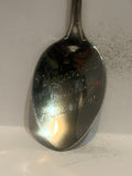 Vancouver Public Aquarium British Columbia Dolphin Souvenir Spoon