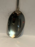 Niagara Falls Ontario Canada Souvenir Spoon