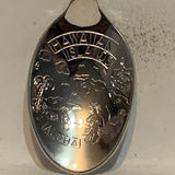 Hawaii Pineapple Rainbow Aloha Collectable Souvenir Spoon CI