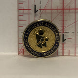 Student Assesment a Continuous Process Lapel Hat Pin
